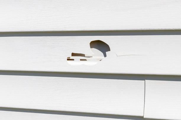 Best Hoarding Cleanup  in Pinebluff, NC
